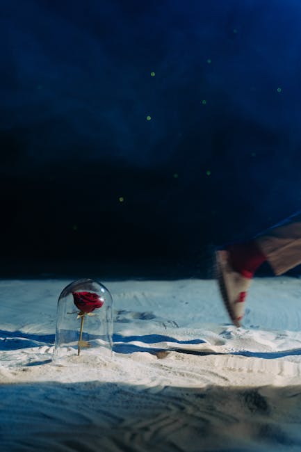 Dicas de Follow-up Eficazes para Vendas e Relacionamentos Profissionais